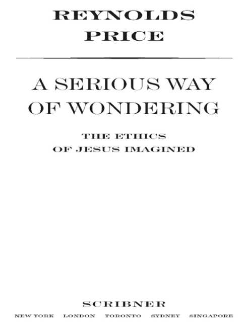 Cover image for book A Serious Way of Wondering