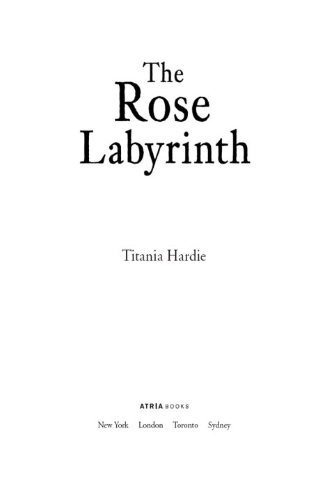 Cover image for book The Rose Labyrinth
