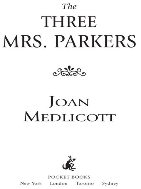Cover image for book The Three Mrs. Parkers