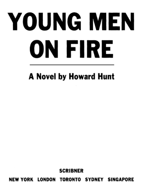 Cover image for book Young Men on Fire