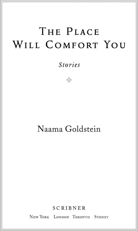 Cover image for book The Place Will Comfort You