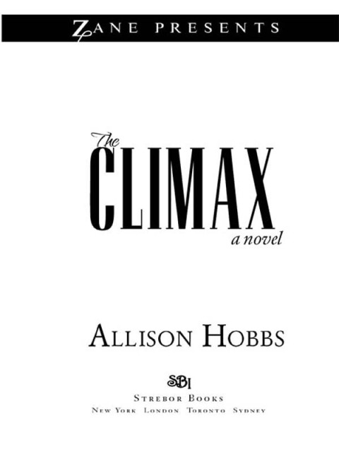 Cover image for book The Climax