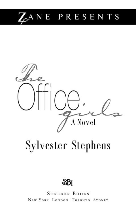 Cover image for book The Office Girls