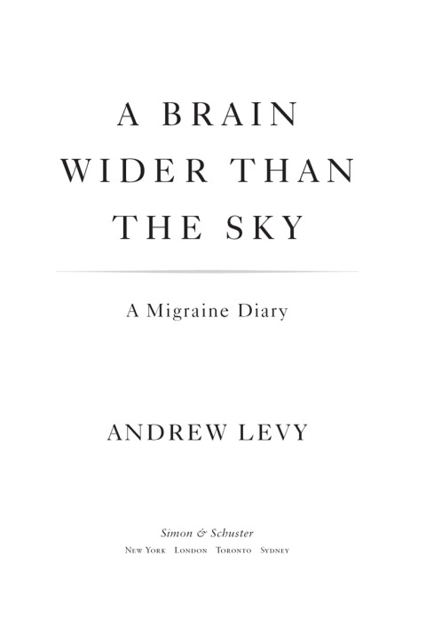 Cover image for book A Brain Wider Than the Sky