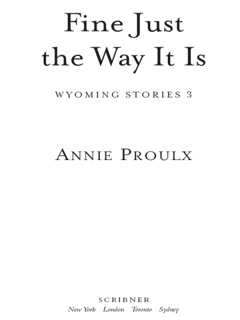 Cover image for book Fine Just the Way It Is