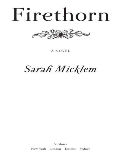 Cover image for book Firethorn