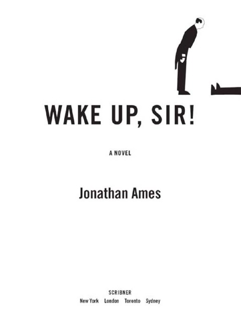 Cover image for book Wake Up, Sir!
