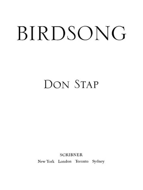 Cover image for book Birdsong