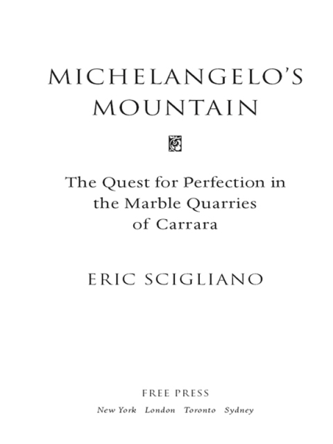 Cover image for book Michelangelo's Mountain