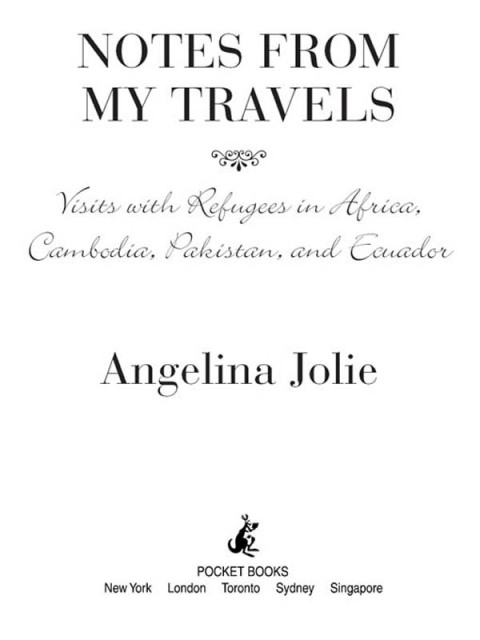 Cover image for book Notes from My Travels
