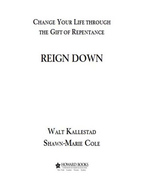 Cover image for book Reign Down