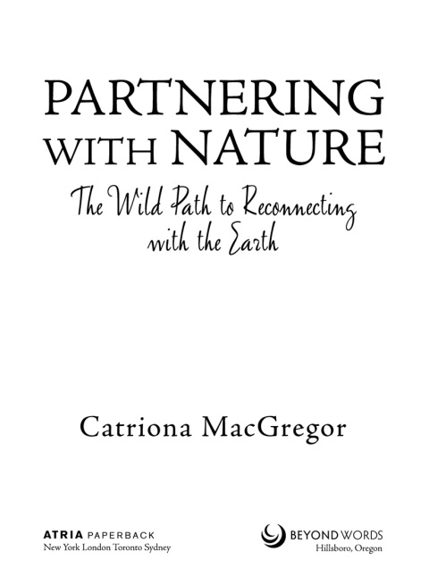 Cover image for book Partnering with Nature