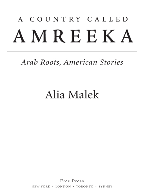 Cover image for book A Country Called Amreeka