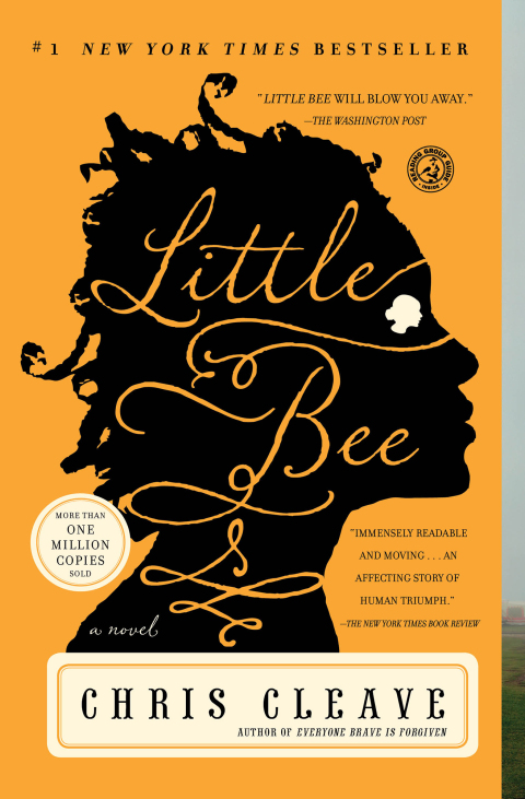 Cover image for book Little Bee