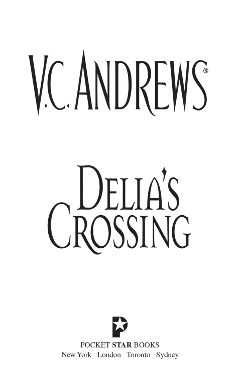 Cover image for book Delia's Crossing