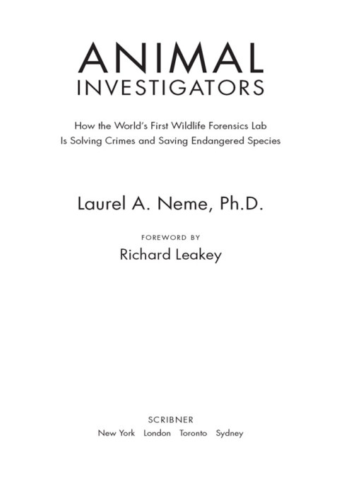 Cover image for book Animal Investigators