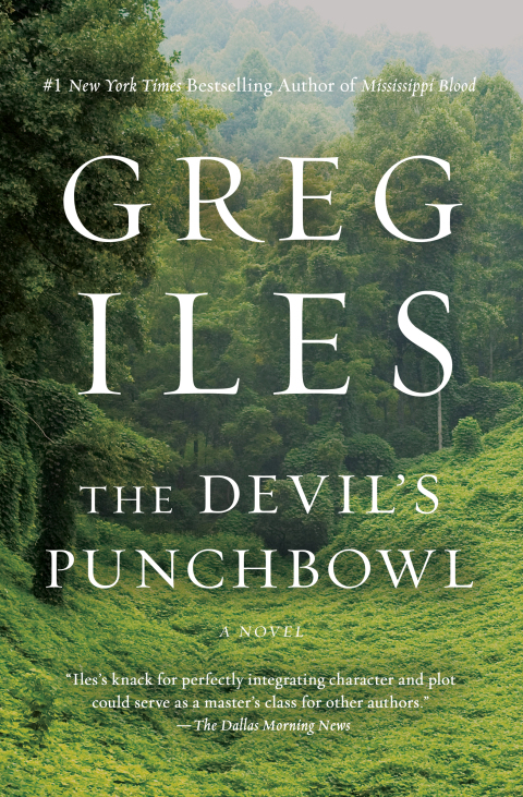 Cover image for book The Devil's Punchbowl