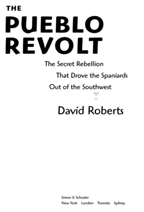 Cover image for book The Pueblo Revolt