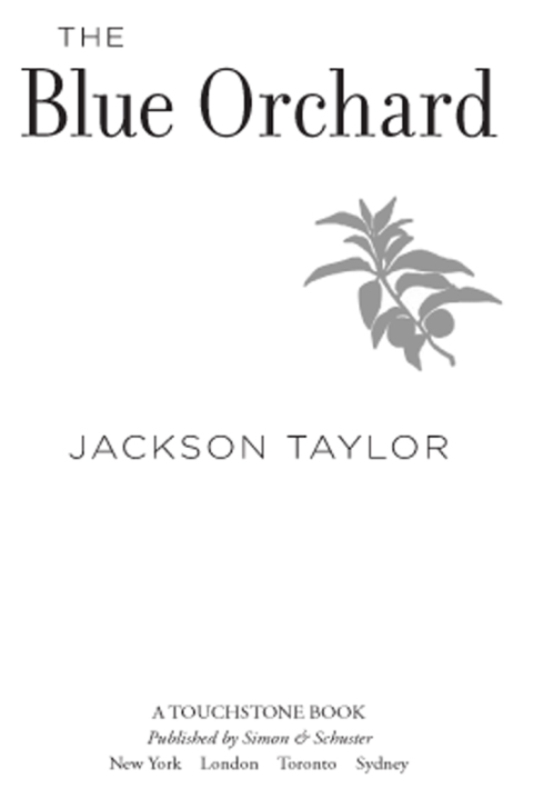 Cover image for book The Blue Orchard