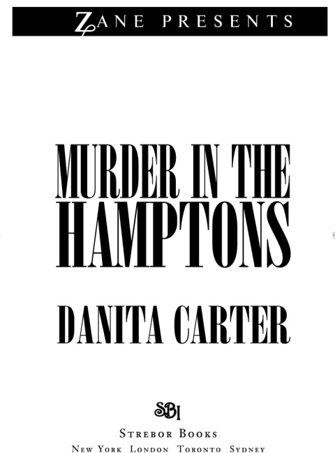 Cover image for book Murder in the Hamptons
