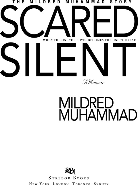 Cover image for book Scared Silent