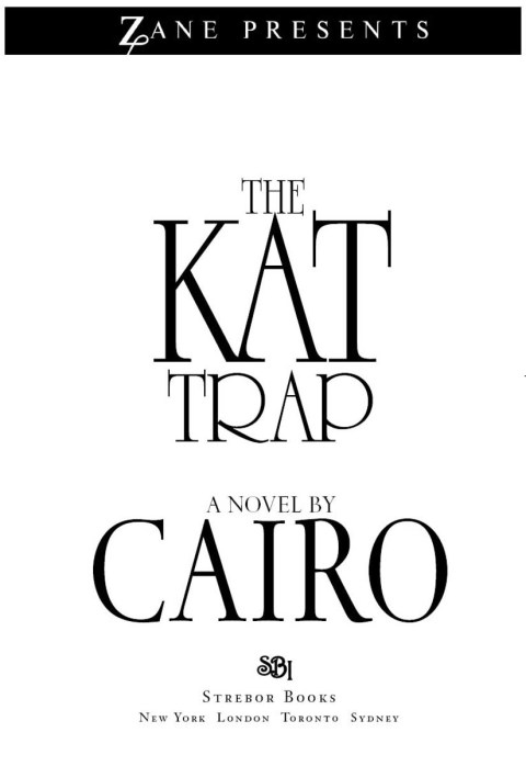 Cover image for book The Kat Trap