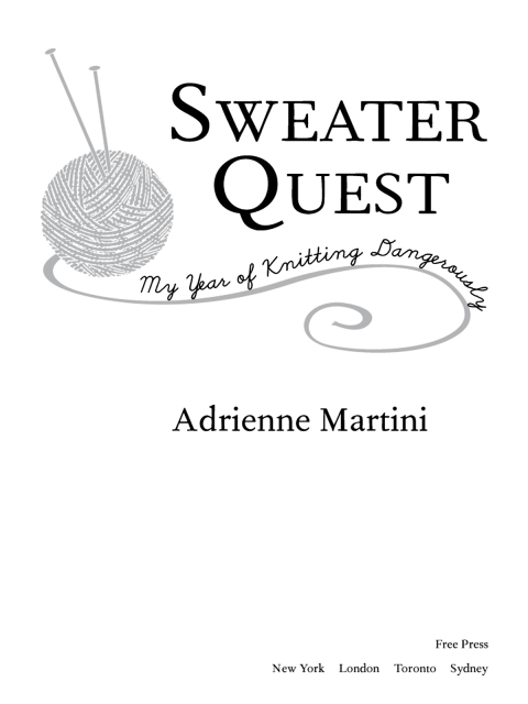 Cover image for book Sweater Quest