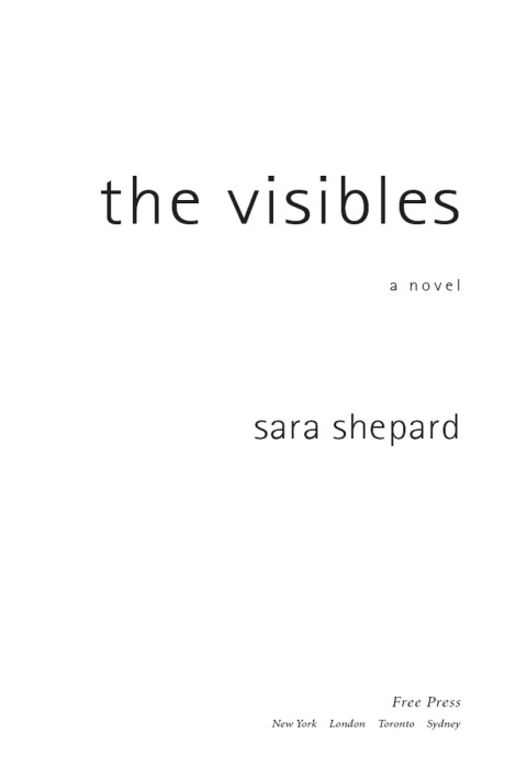 Cover image for book The Visibles