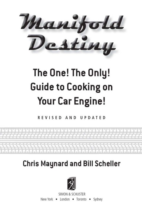 Cover image for book Manifold Destiny