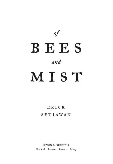 Cover image for book Of Bees and Mist