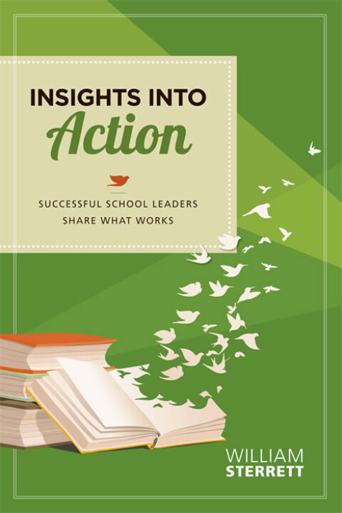Cover image for book Insights into Action