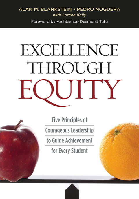 Cover image for book Excellence Through Equity