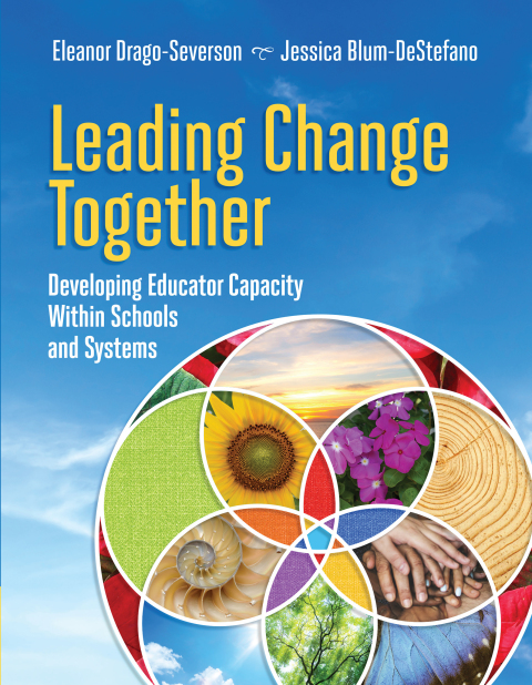 Cover image for book Leading Change Together
