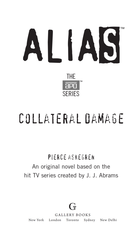 Cover image for book Collateral Damage