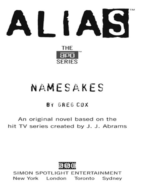 Cover image for book Namesakes