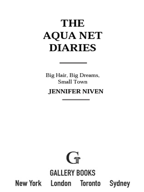 Cover image for book The Aqua Net Diaries