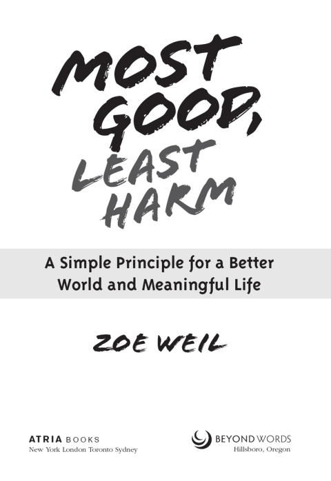 Cover image for book Most Good, Least Harm