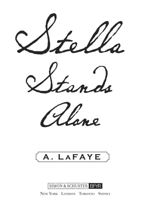 Cover image for book Stella Stands Alone