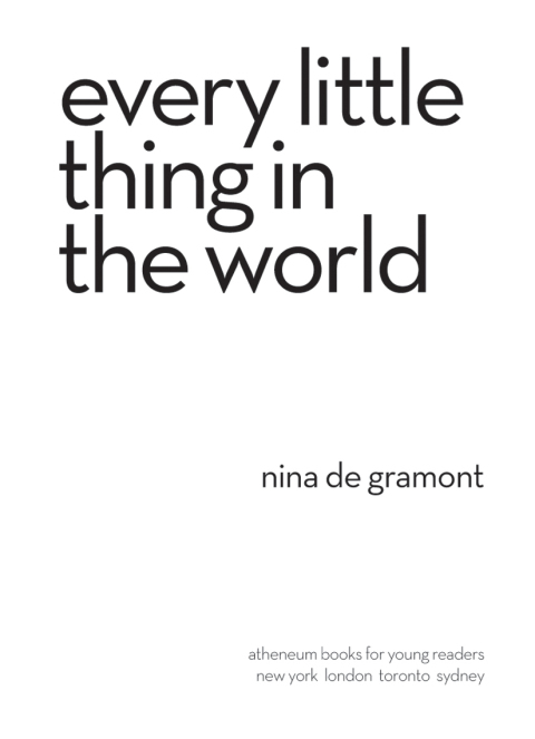 Cover image for book Every Little Thing in the World