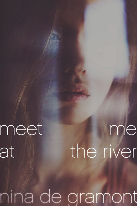 Cover image for book Meet Me at the River
