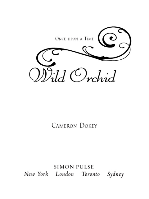 Cover image for book Wild Orchid