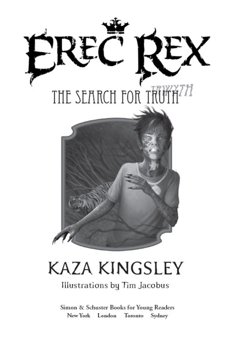 Cover image for book The Search for Truth