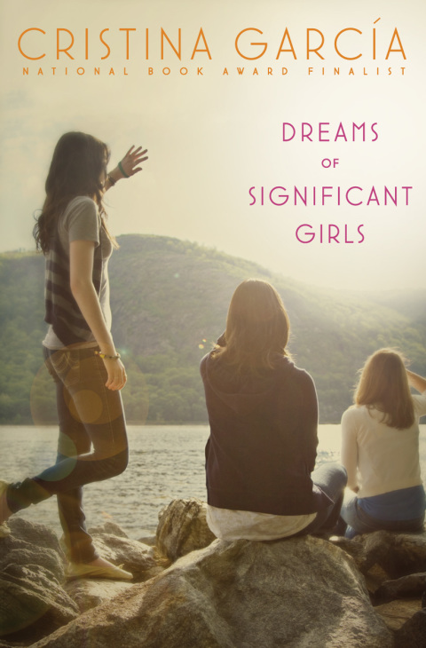 Cover image for book Dreams of Significant Girls