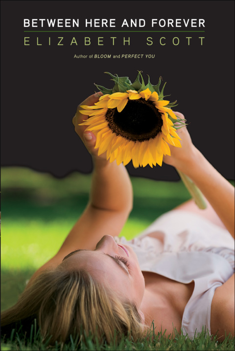 Cover image for book Between Here and Forever