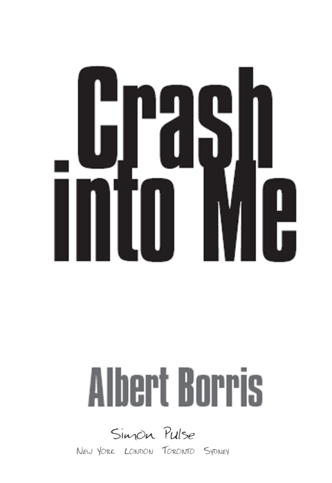 Cover image for book Crash into Me