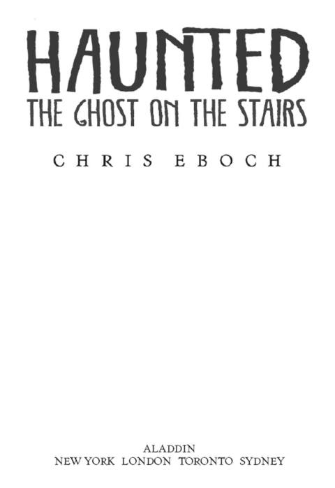 Cover image for book The Ghost on the Stairs
