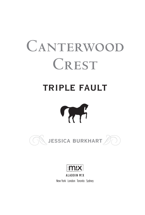 Cover image for book Triple Fault