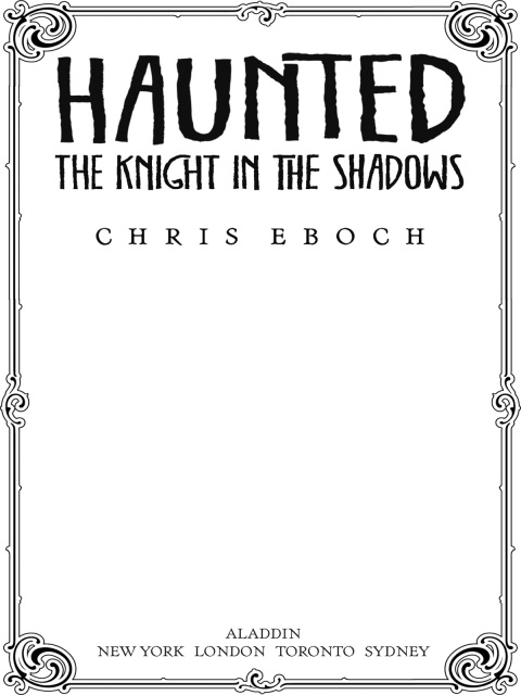 Cover image for book The Knight in the Shadows