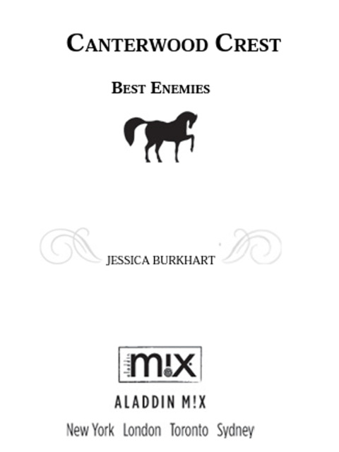 Cover image for book Best Enemies
