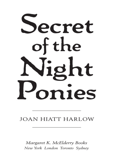 Cover image for book Secret of the Night Ponies